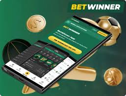 Comprehensive Betwinner User Reviews Insights and Experiences